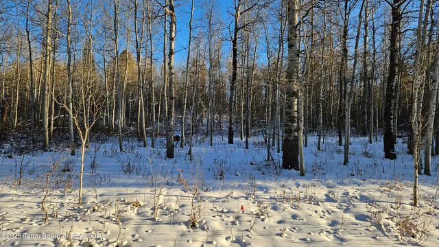 $320,000 | 2617 Apsaroke Trail, Tetonia, ID 83452