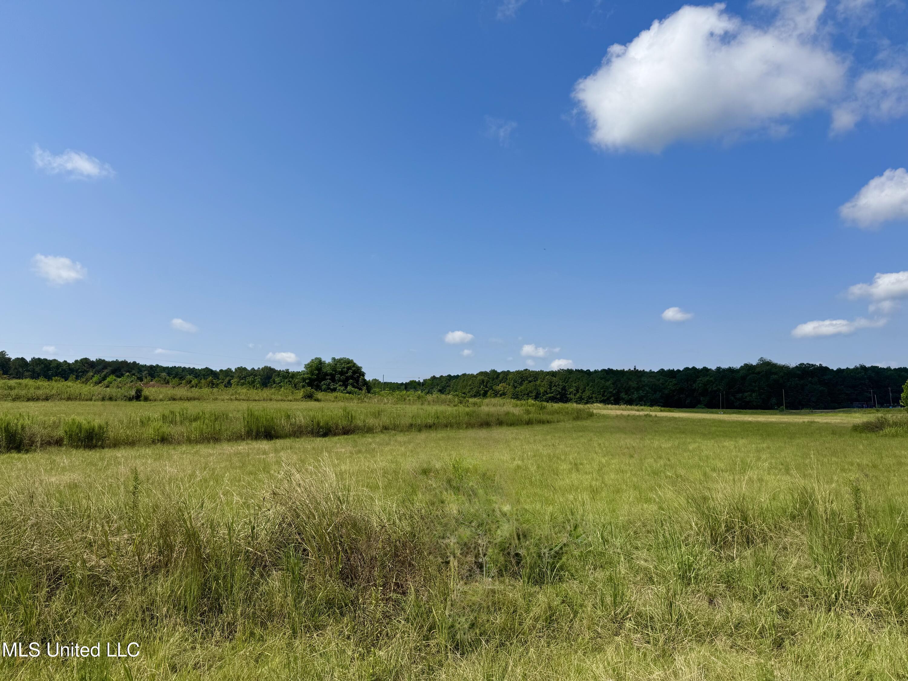 R12 Old Highway 16 Benton, MS 39039 - Photo 11 of 12 IMG_8882