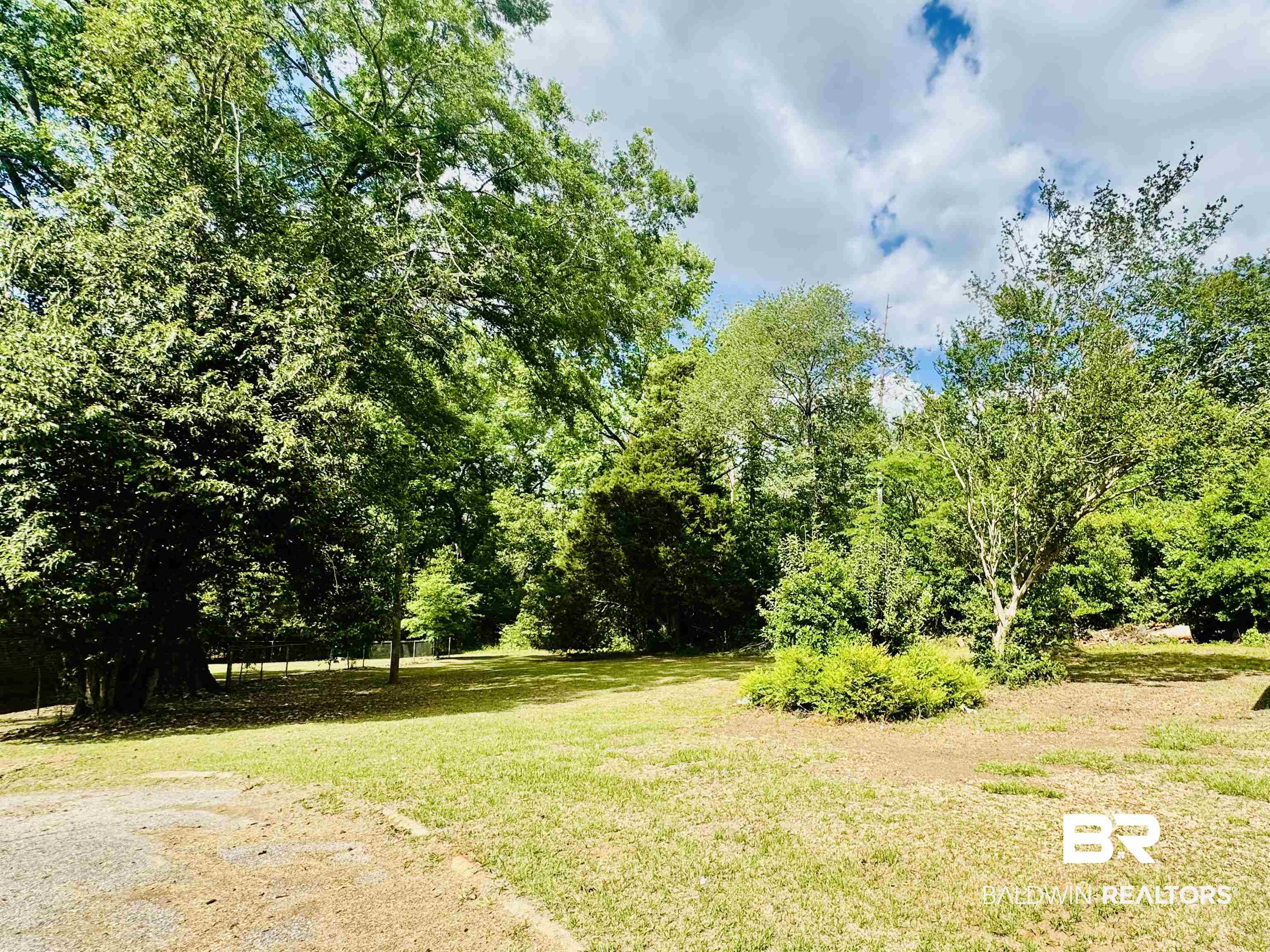 226 Elizabeth Street Evergreen, AL 36401 - Photo 9 of 35 Expansive grassy area featuring mature trees and established shrubbery, surrounded by verdant foliage
