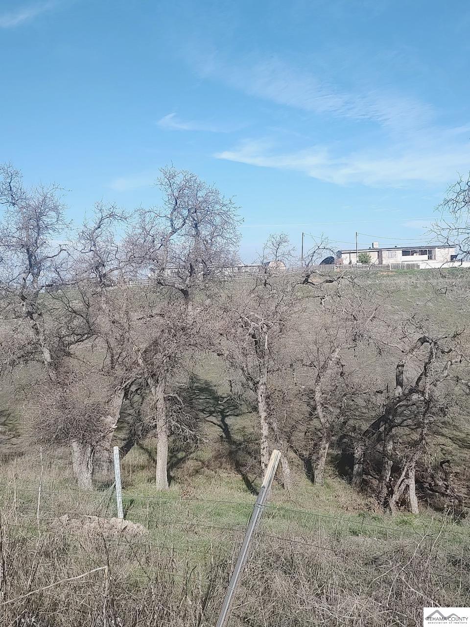 7298 Chuckwagon Road Corning, CA 96021 - Photo 5 of 23