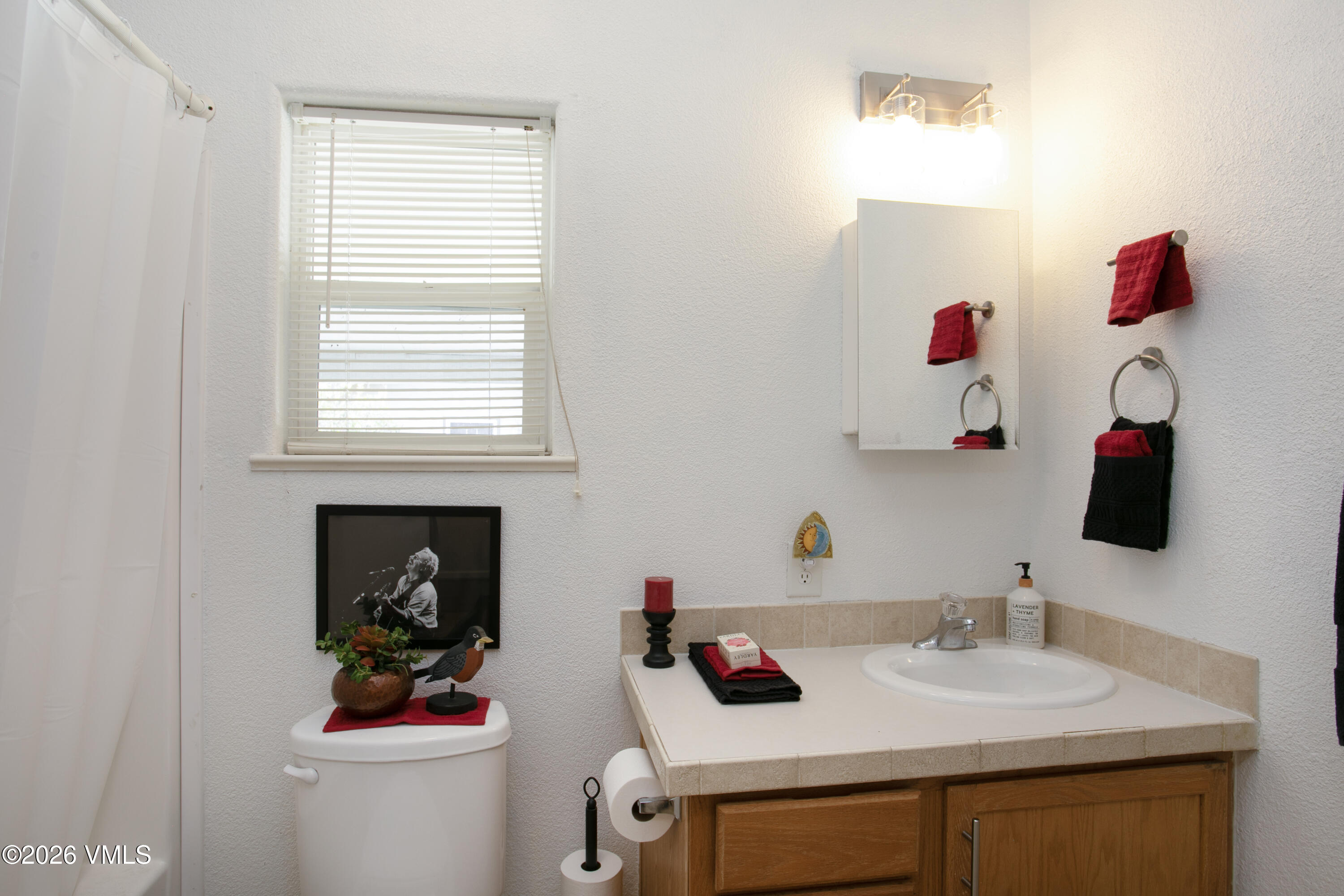 161 Haymaker Loop Gypsum, CO 81637 - Photo 11 of 35 161 Haymaker-010