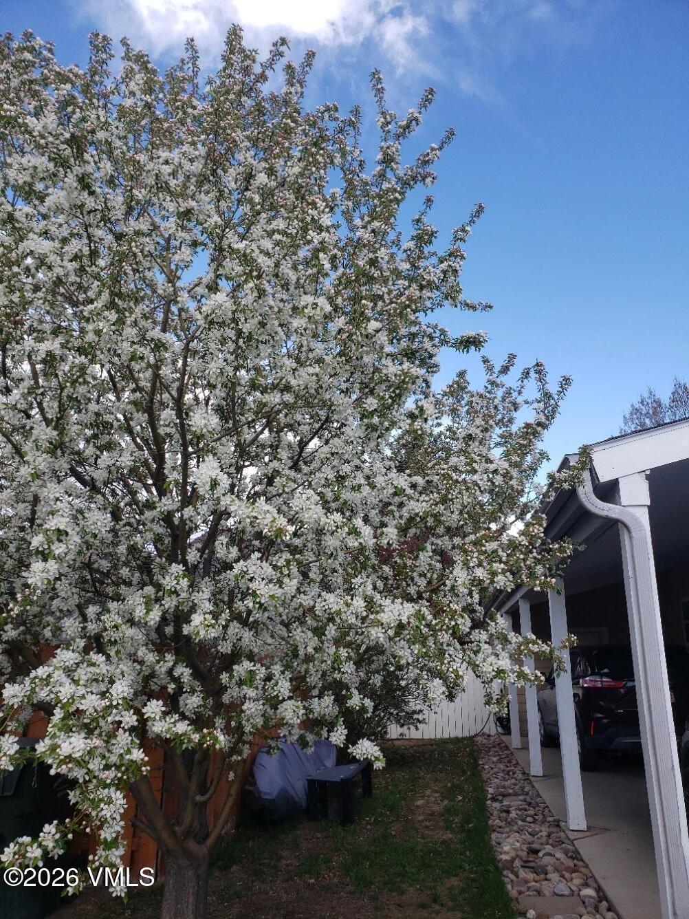 161 Haymaker Loop Gypsum, CO 81637 - Photo 20 of 35 20260407_155040