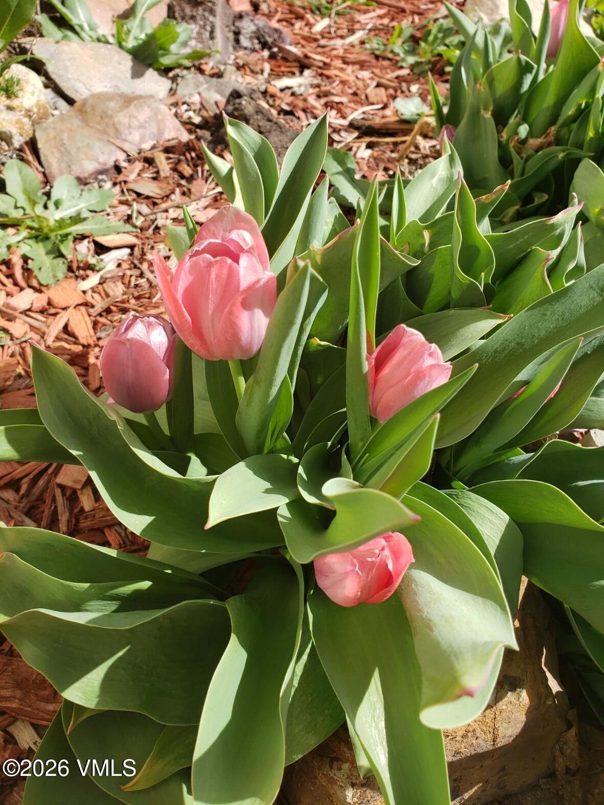 161 Haymaker Loop Gypsum, CO 81637 - Photo 21 of 35 20260407_155818