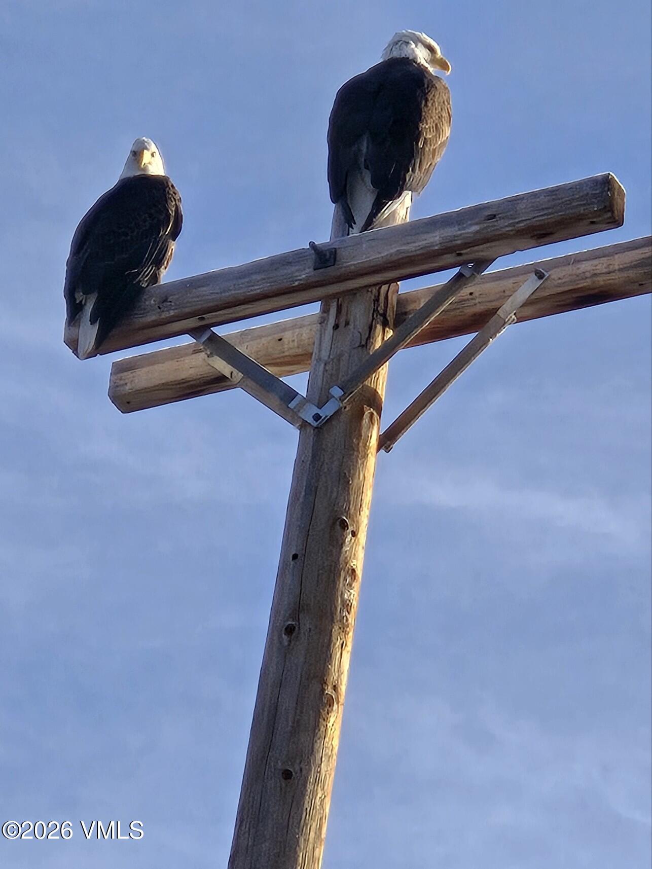 161 Haymaker Loop Gypsum, CO 81637 - Photo 24 of 35 Attach0(2) (002)