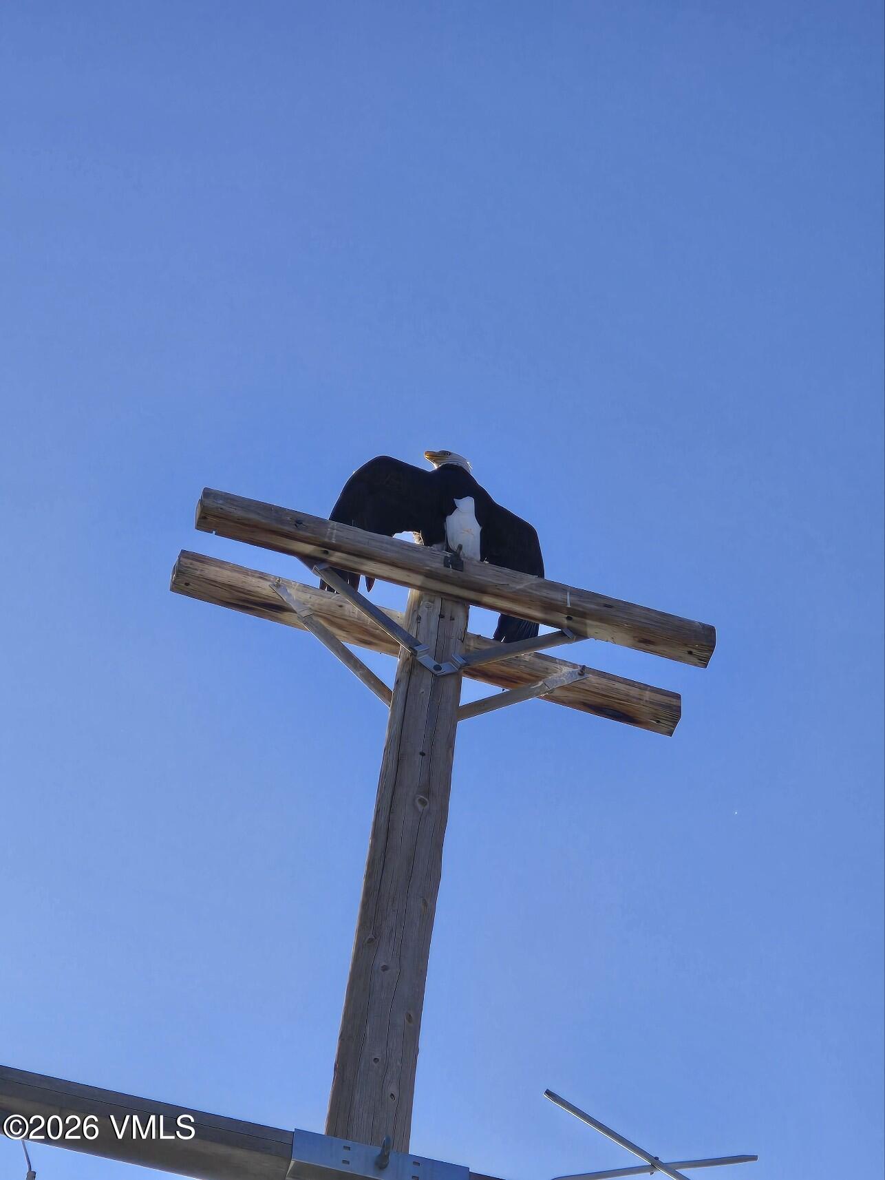161 Haymaker Loop Gypsum, CO 81637 - Photo 25 of 35 Attach0(3) (002)
