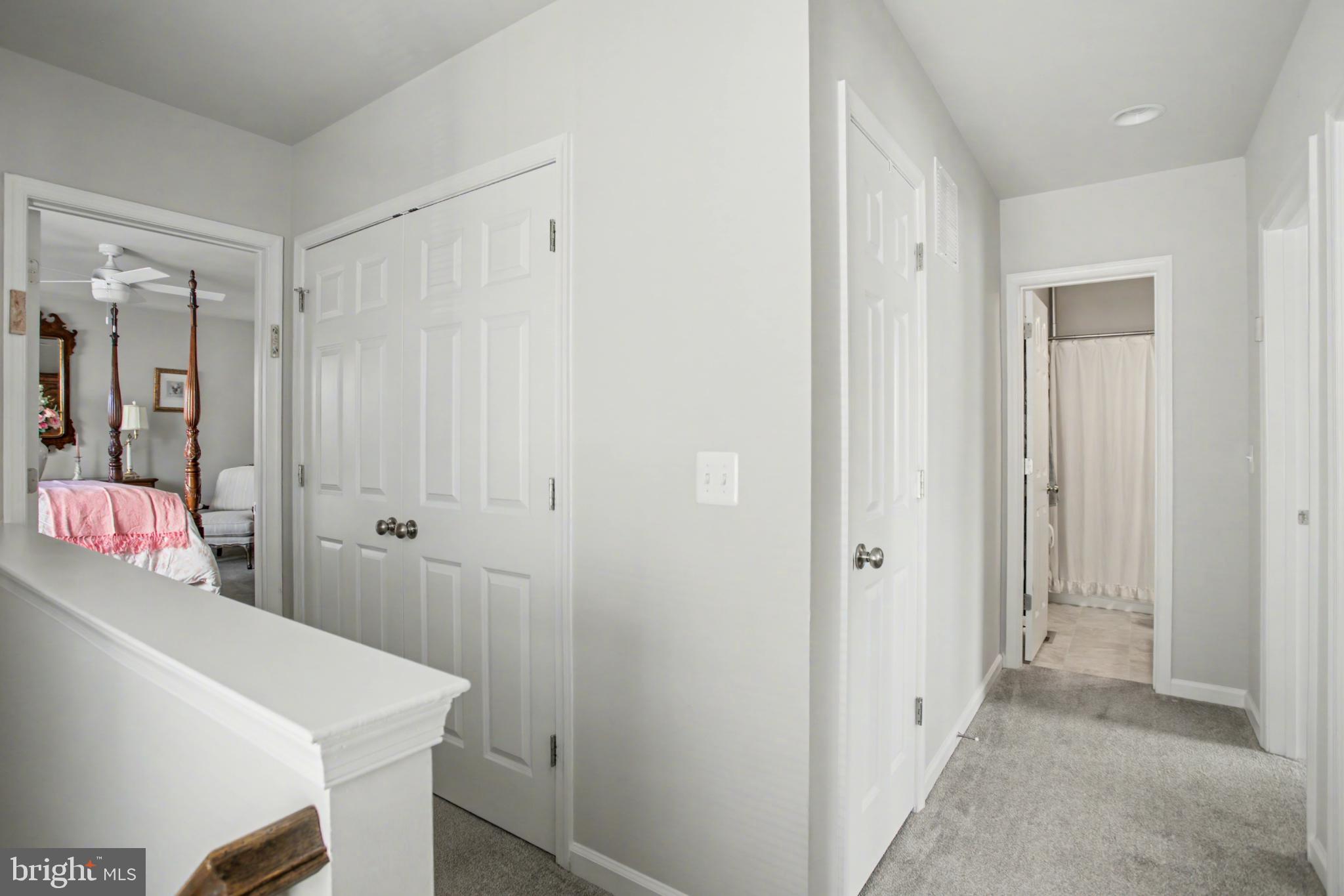 225 Patchwork Drive Stephenson, VA 22656 - Photo 22 of 32 Bright and inviting hallway with modern doors.