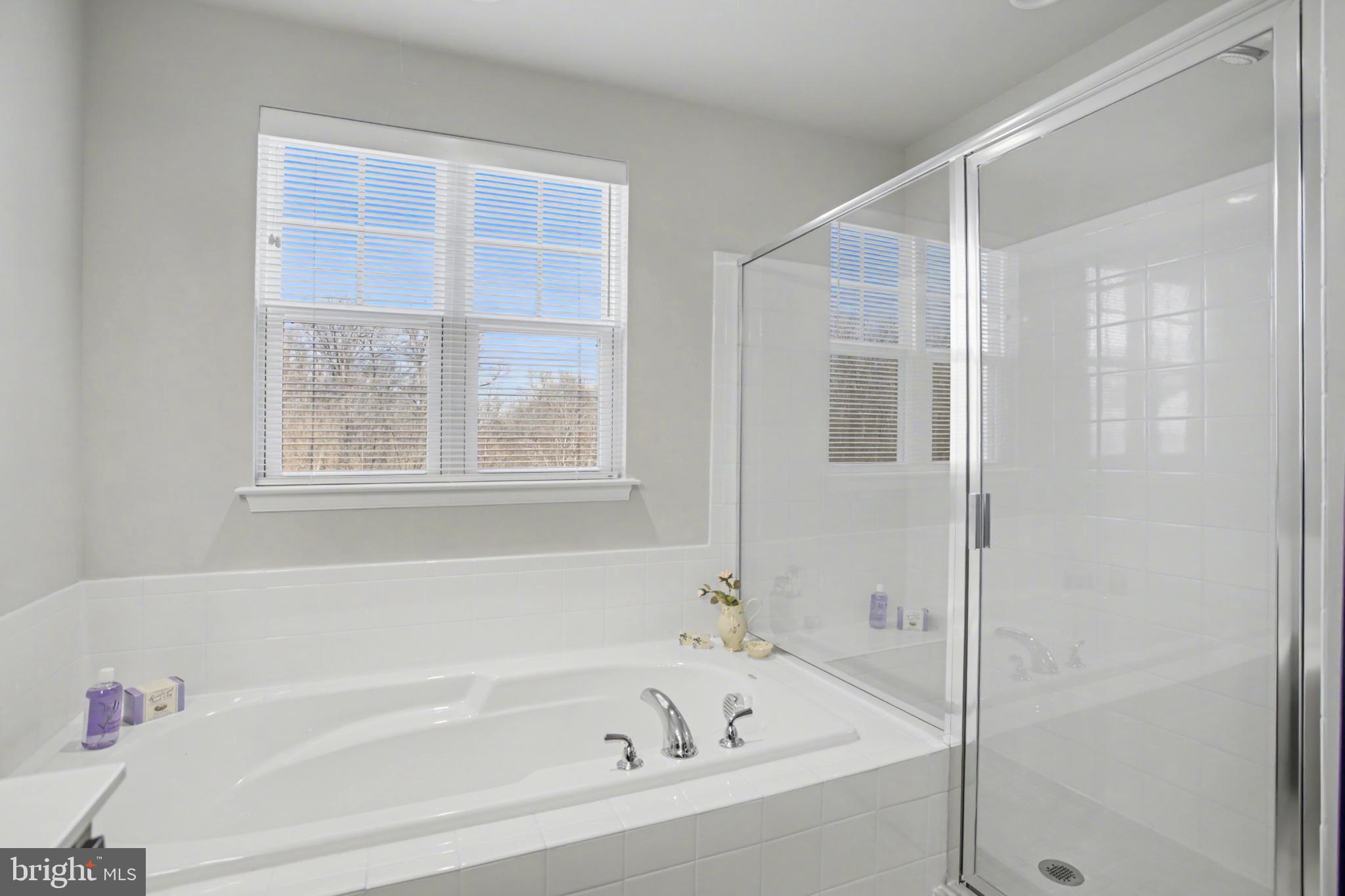 225 Patchwork Drive Stephenson, VA 22656 - Photo 28 of 32 Serene bathroom with natural light.
