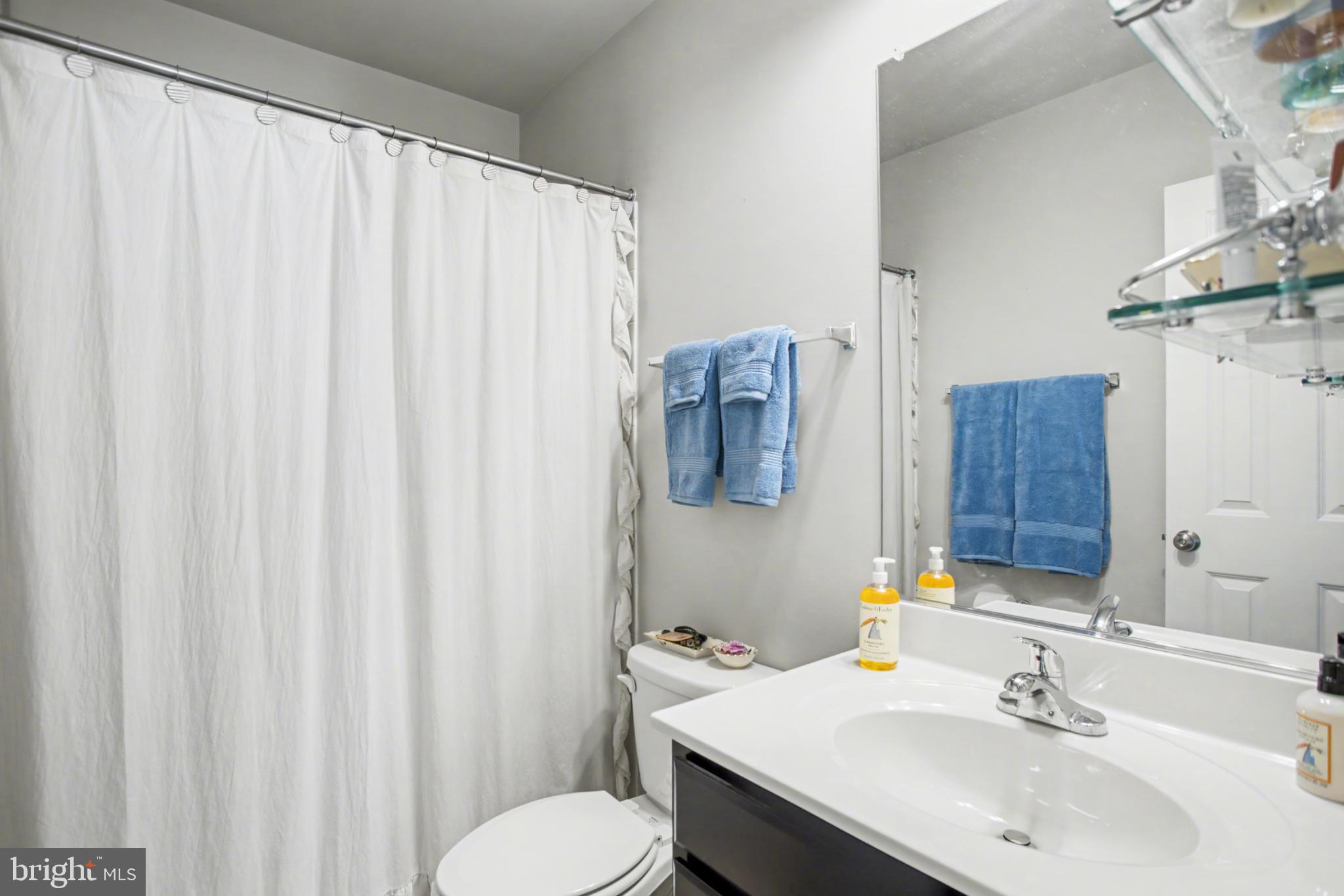 225 Patchwork Drive Stephenson, VA 22656 - Photo 30 of 32 Bright and functional bathroom oasis.