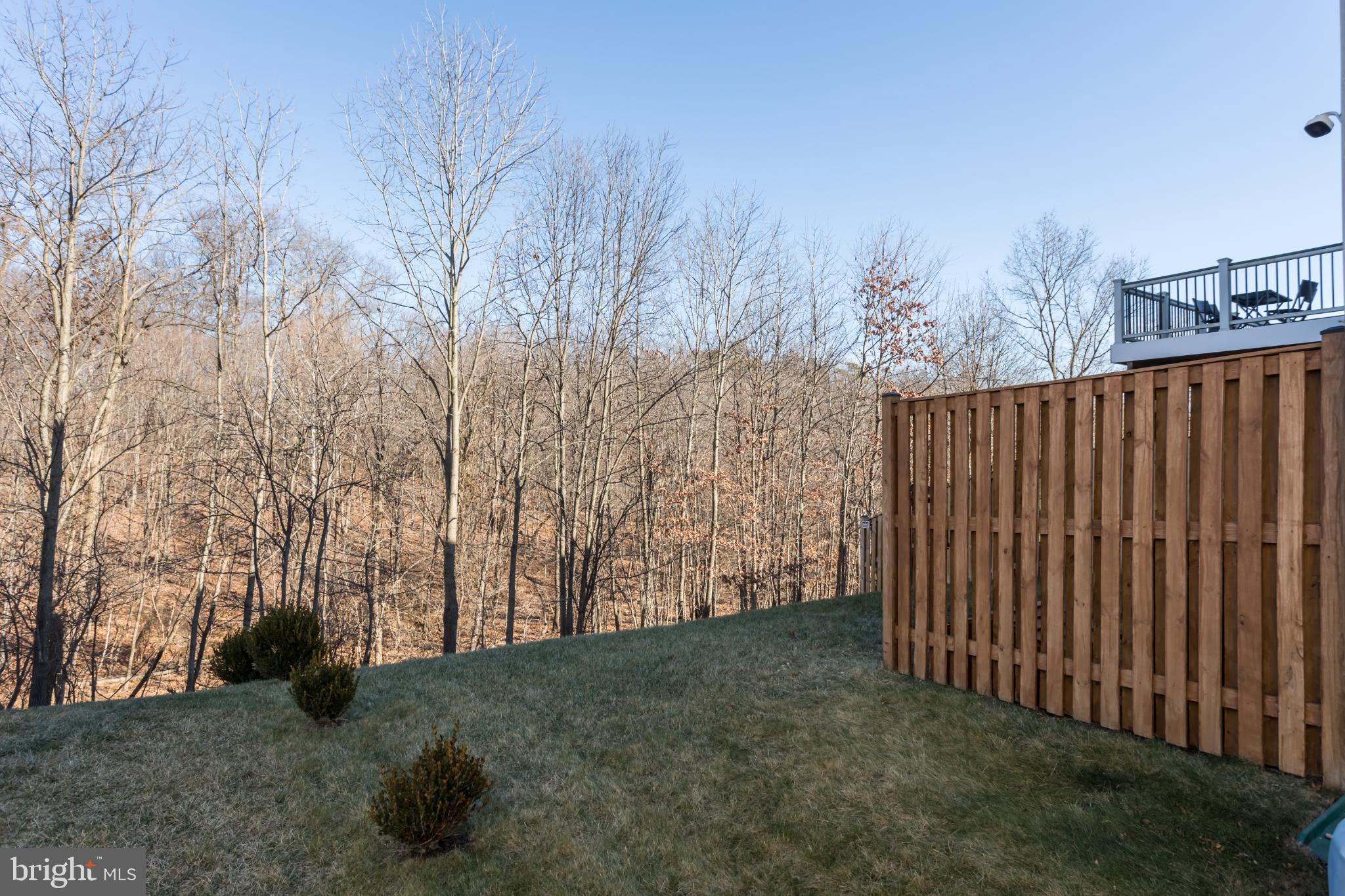 225 Patchwork Drive Stephenson, VA 22656 - Photo 32 of 32 Serene backyard with wooded backdrop.