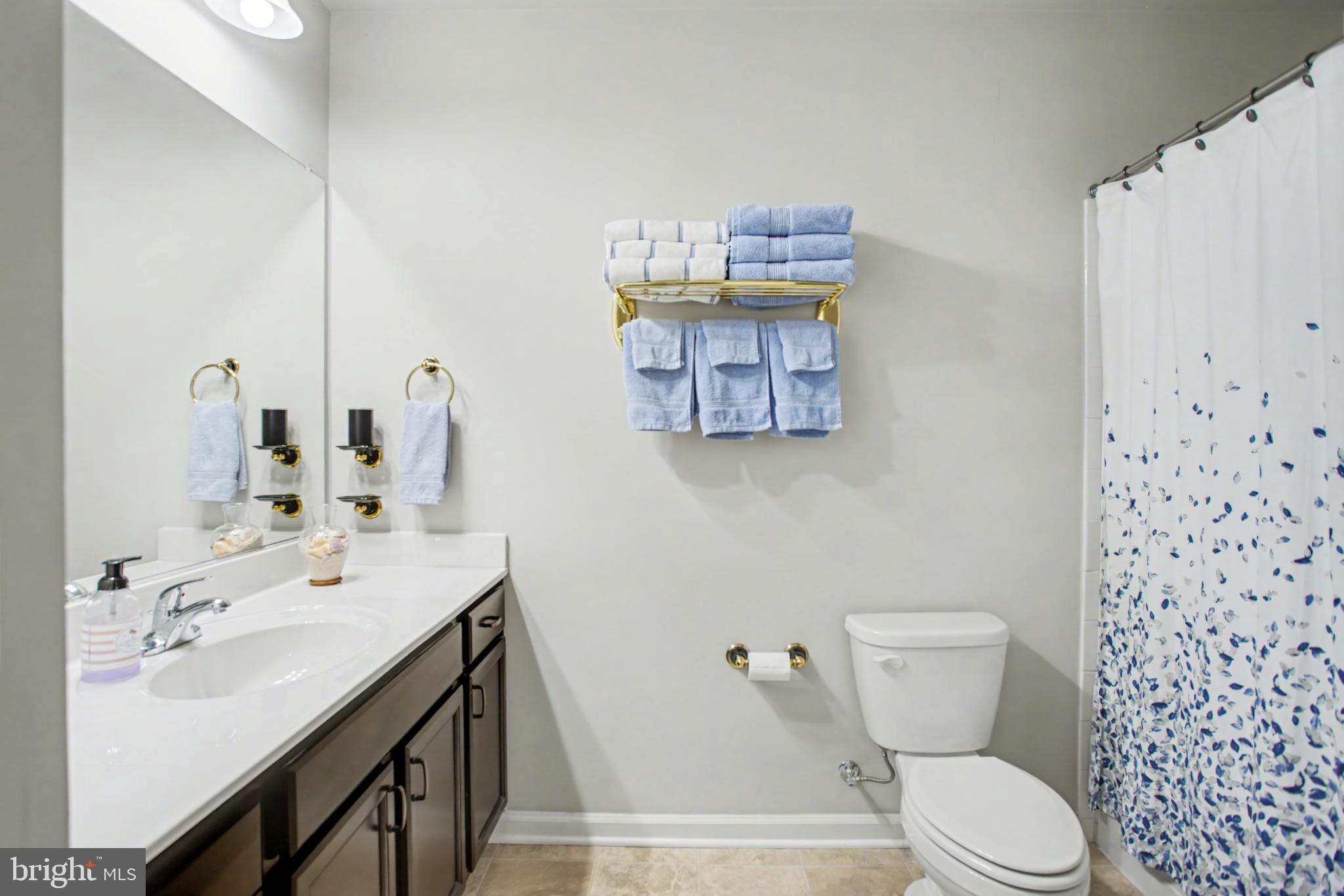 225 Patchwork Drive Stephenson, VA 22656 - Photo 7 of 32 Serene bathroom with elegant touches.