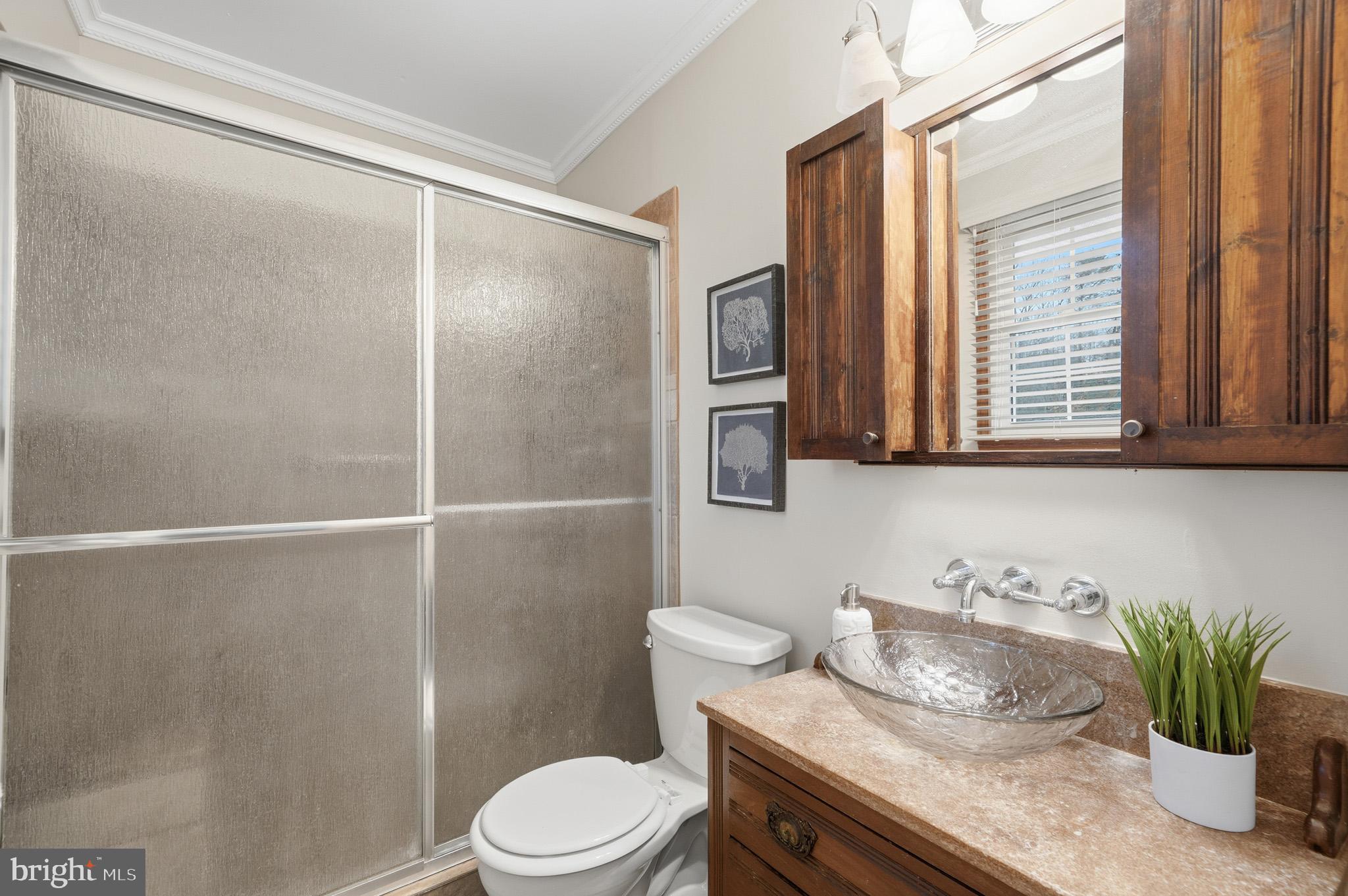 5253 Briscoe Farm Road Waldorf, MD 20601 - Photo 23 of 57 Primary bathroom