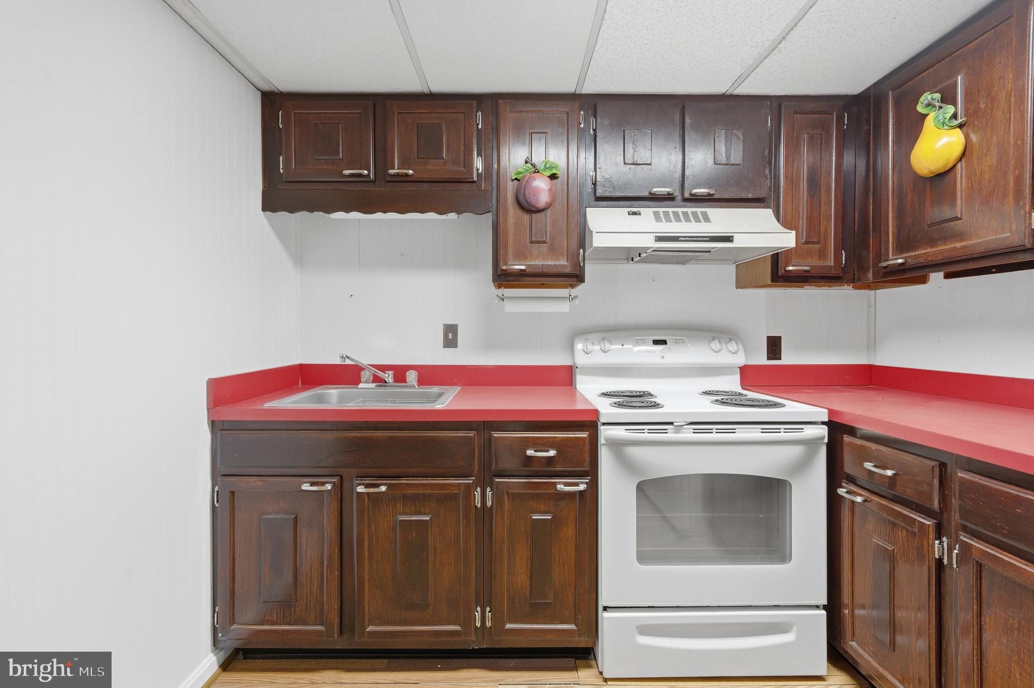 5253 Briscoe Farm Road Waldorf, MD 20601 - Photo 40 of 57 Lower level kitchen