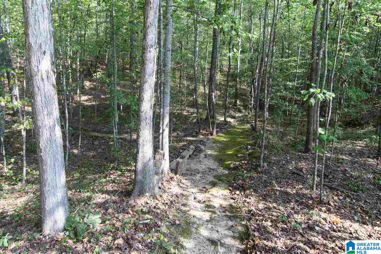 124 Astor Circle Chelsea, AL 35043 - Photo 48 of 50