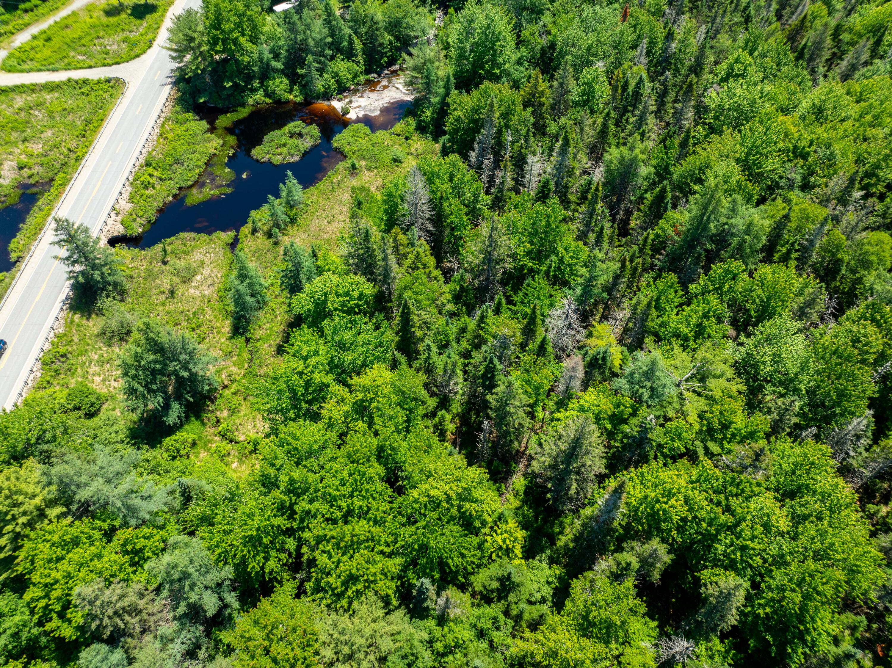 M4-l29 Northfield Road Machias, ME 04654 - Photo 14 of 23 42 Acre Lot Marshfield (5 of 32)