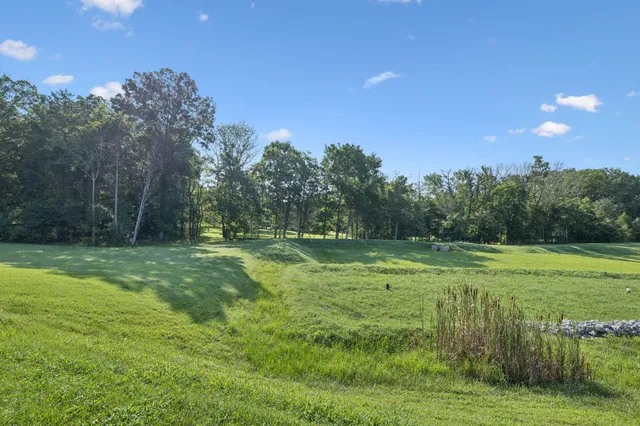 a big yard with lots of green space and deers