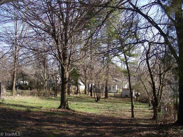 1204 Madison Street High Point, NC 27262 - Photo 8 of 9 Other. Deep back yard