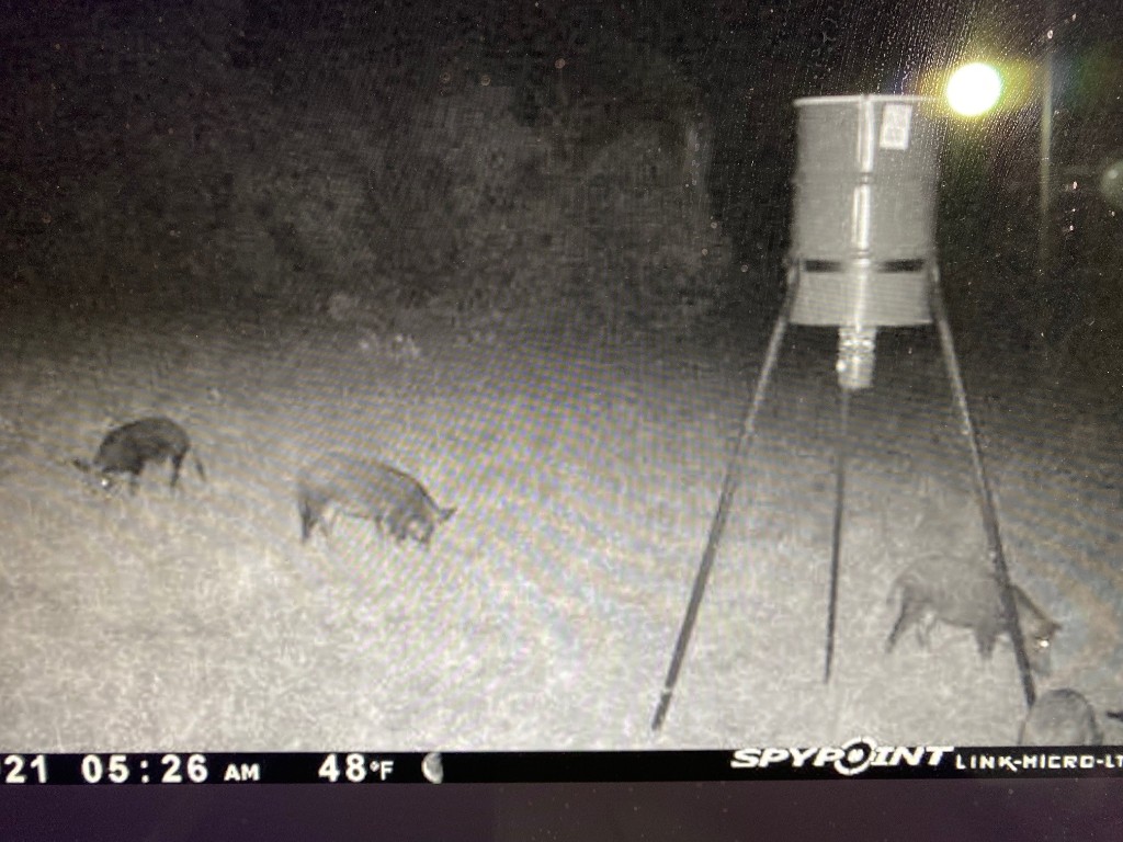 A A Union Valley Spring, TX 76885 - Photo 11 of 15