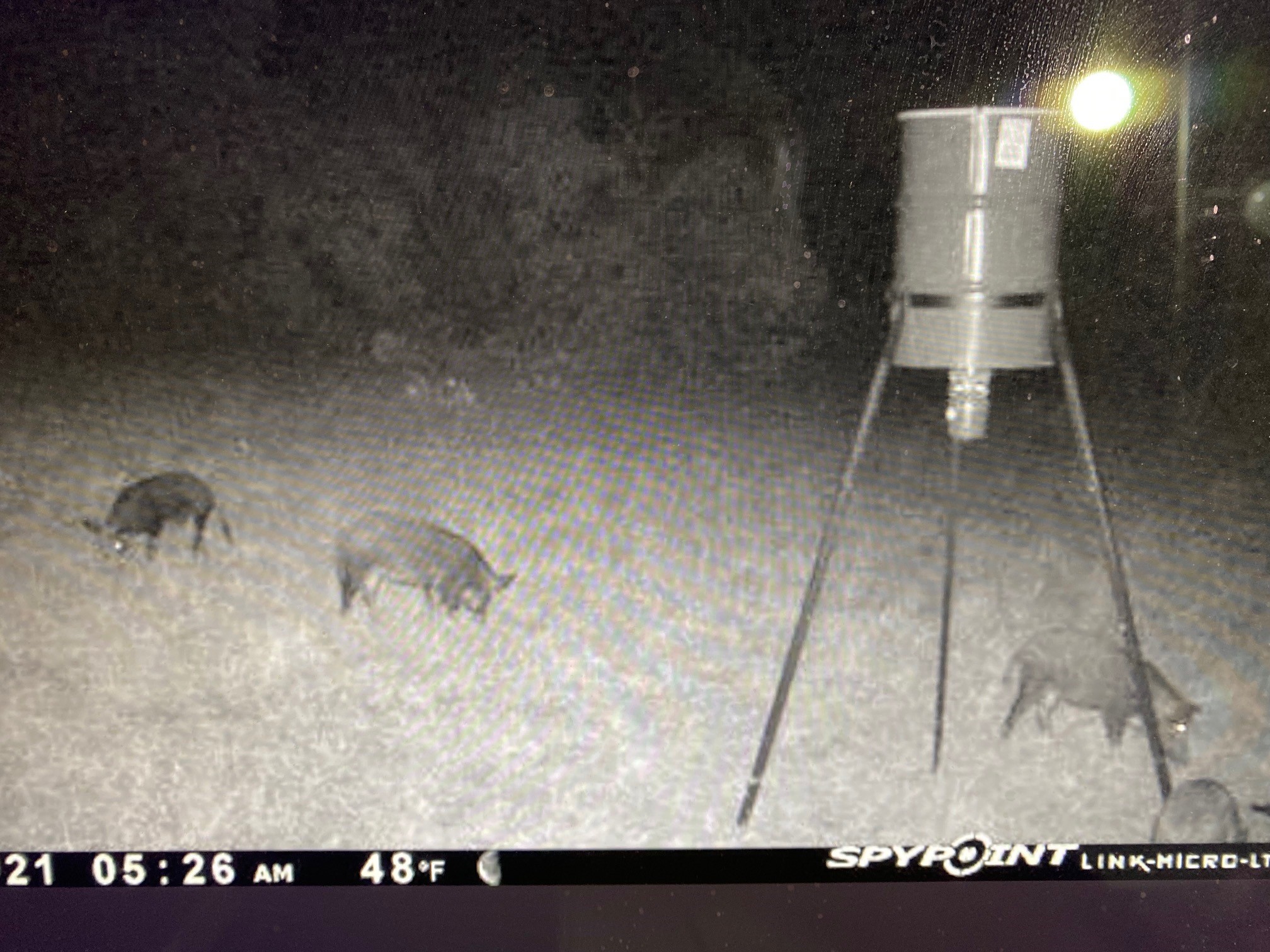 A A Union Valley Spring, TX 76885 - Photo 11 of 15 a view of a room