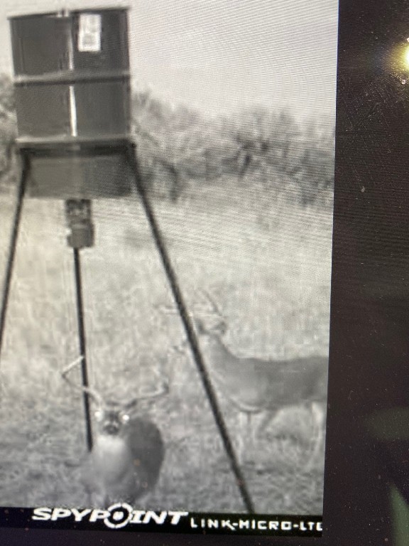 A A Union Valley Spring, TX 76885 - Photo 12 of 15