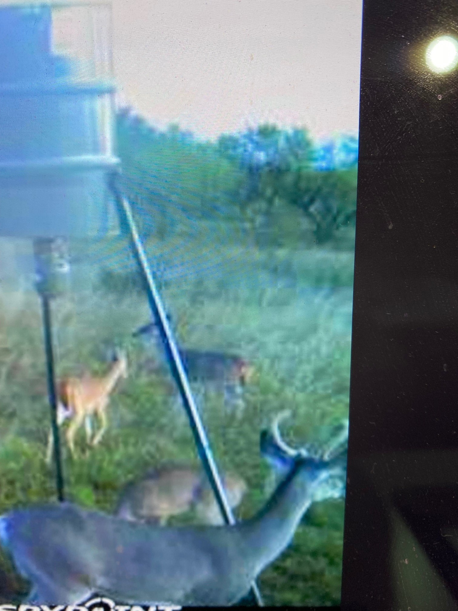 A A Union Valley Spring, TX 76885 - Photo 13 of 15 a view of a small yard