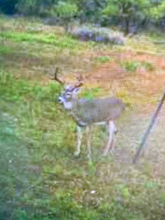 A A Union Valley Spring, TX 76885 - Photo 5 of 15