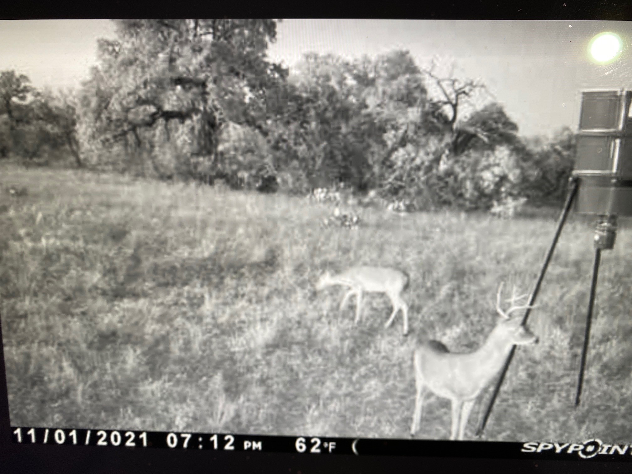 A A Union Valley Spring, TX 76885 - Photo 6 of 15 a view of a dry yard with trees