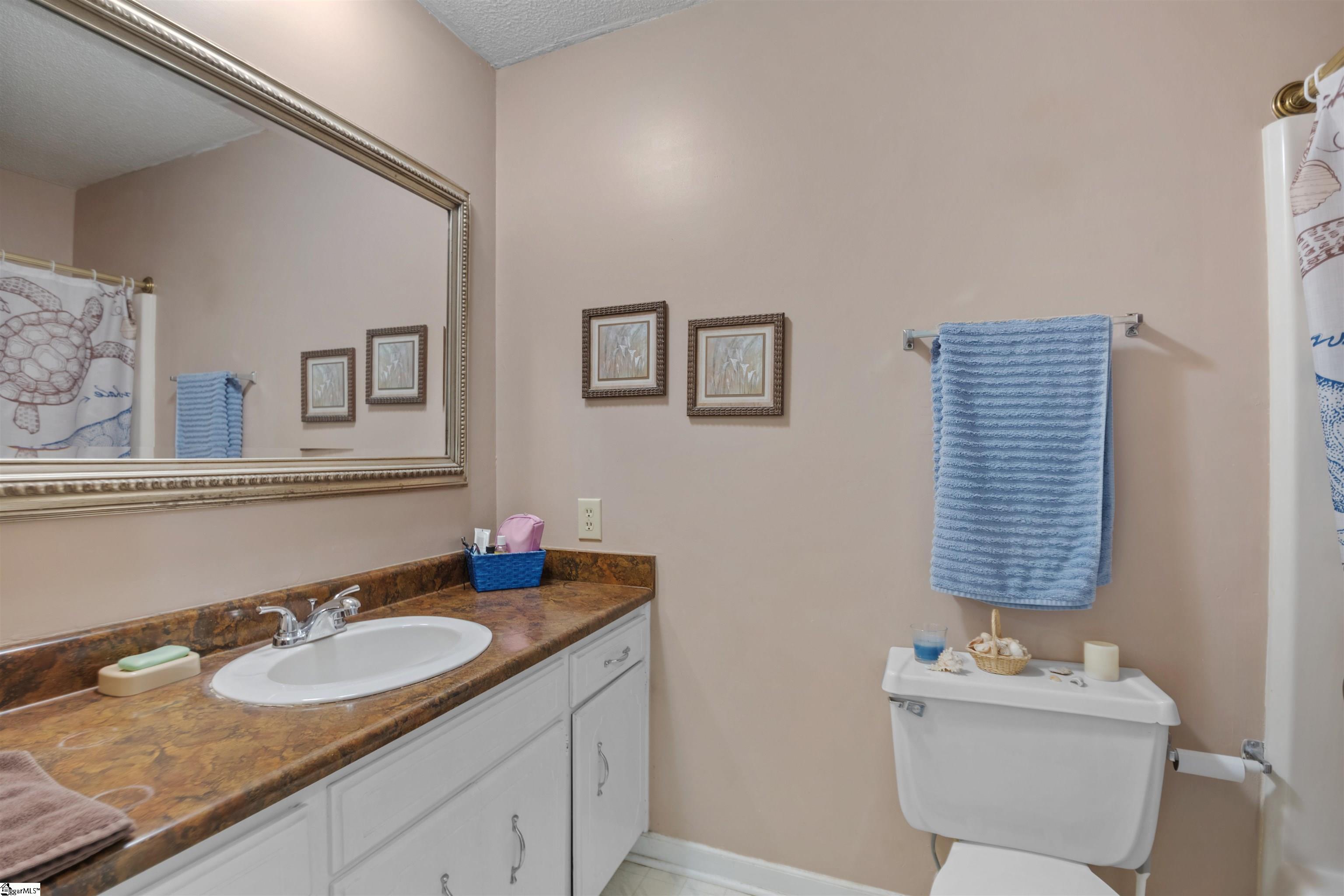 118 Sabra Drive Easley, SC 29642 - Photo 29 of 39