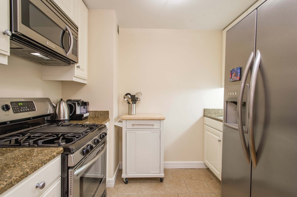 3 Avery Street, Unit 308 Boston, MA 02111 - Photo 3 of 12