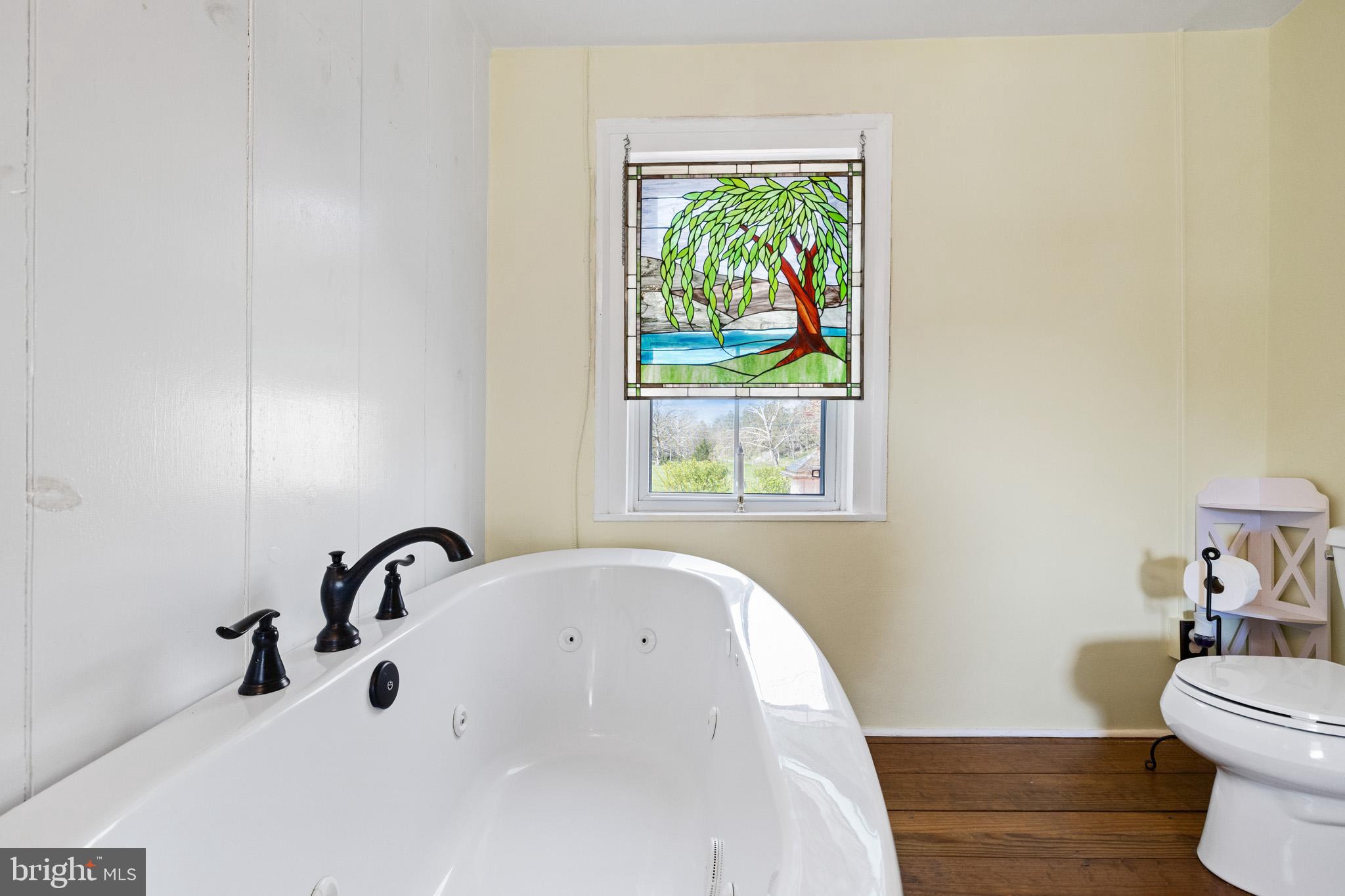 989 Swover Creek Road Edinburg, VA 22824 - Photo 57 of 132 a bathroom with a sink and a bathtub