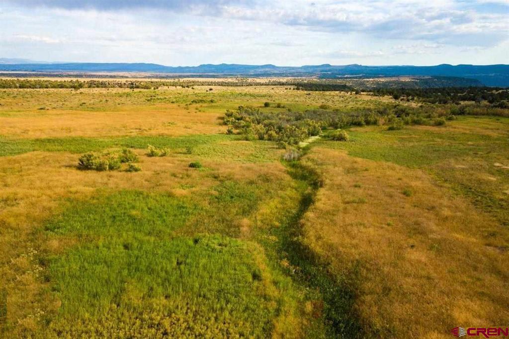 20000 R23 Road Nucla, CO 81424 - Photo 16 of 24 Gallery Image 16