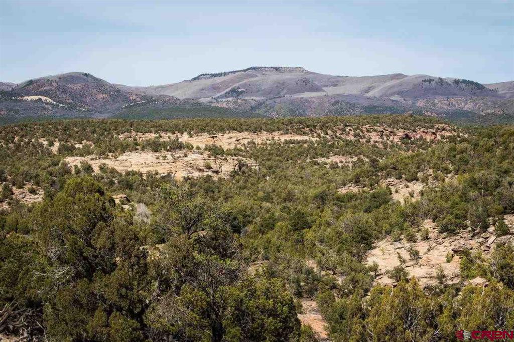 20000 R23 Road Nucla, CO 81424 - Photo 17 of 24 Gallery Image 17