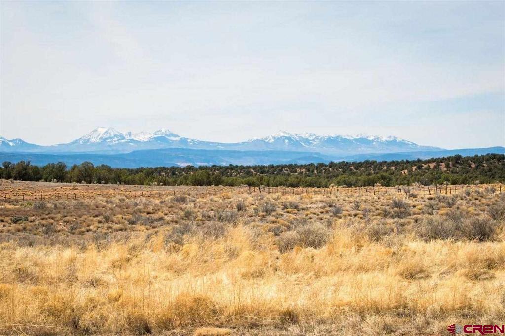 20000 R23 Road Nucla, CO 81424 - Photo 18 of 24 Gallery Image 18