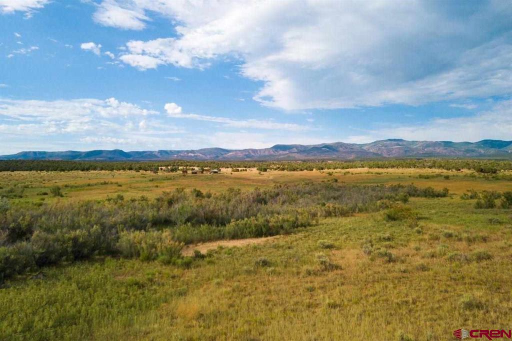 20000 R23 Road Nucla, CO 81424 - Photo 19 of 24 Gallery Image 19