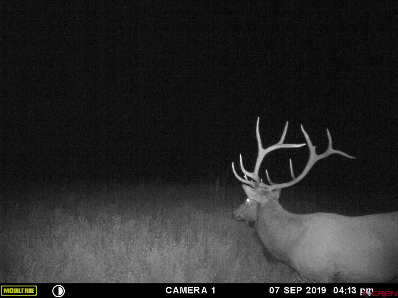 20000 R23 Road Nucla, CO 81424 - Photo 20 of 24 Gallery Image 20