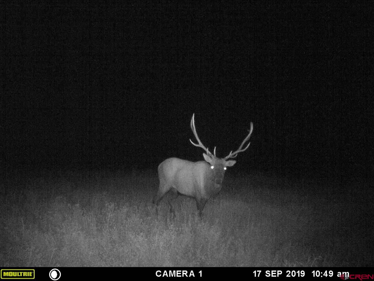 20000 R23 Road Nucla, CO 81424 - Photo 21 of 24 Gallery Image 21