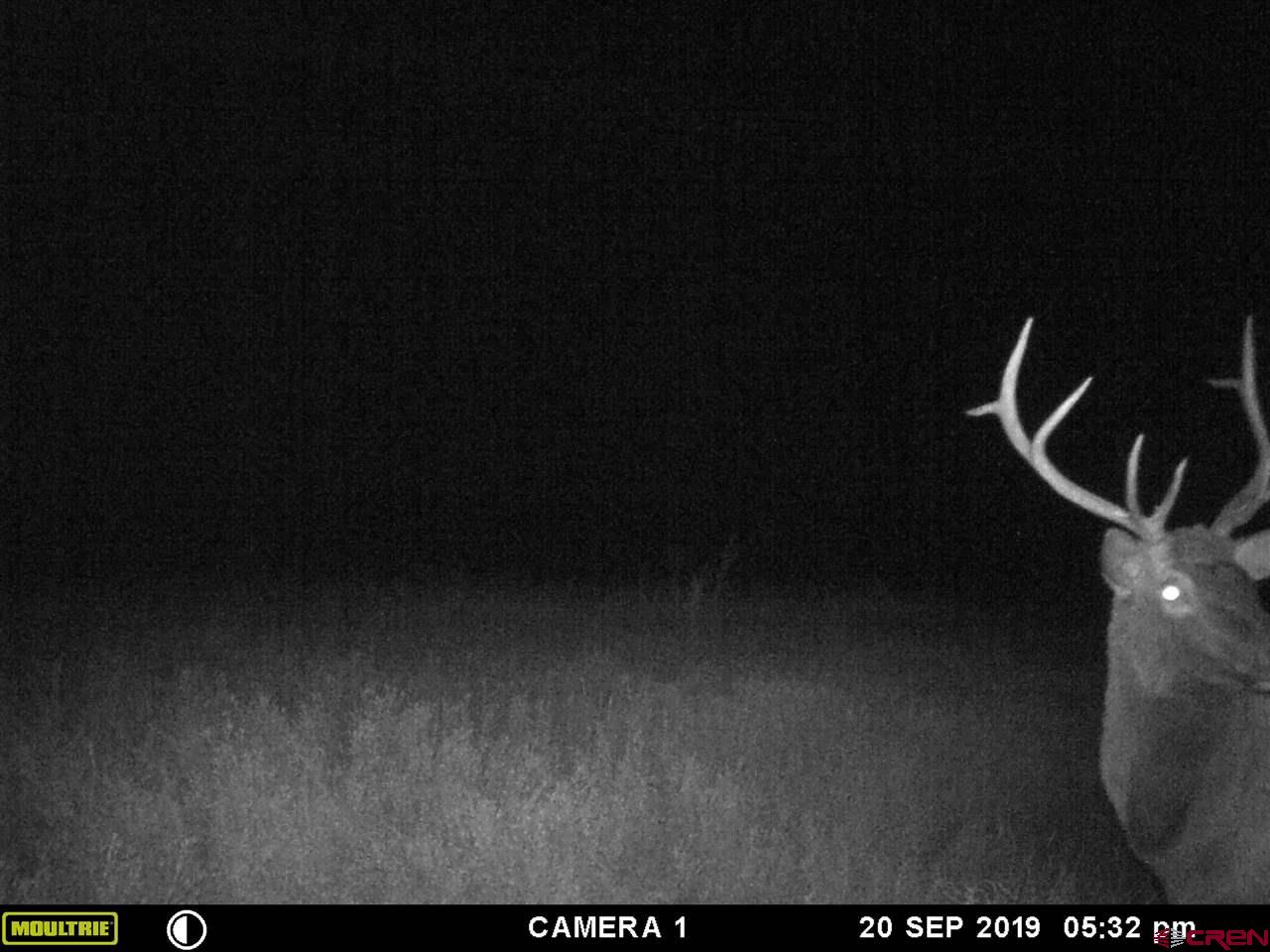 20000 R23 Road Nucla, CO 81424 - Photo 22 of 24 Gallery Image 22
