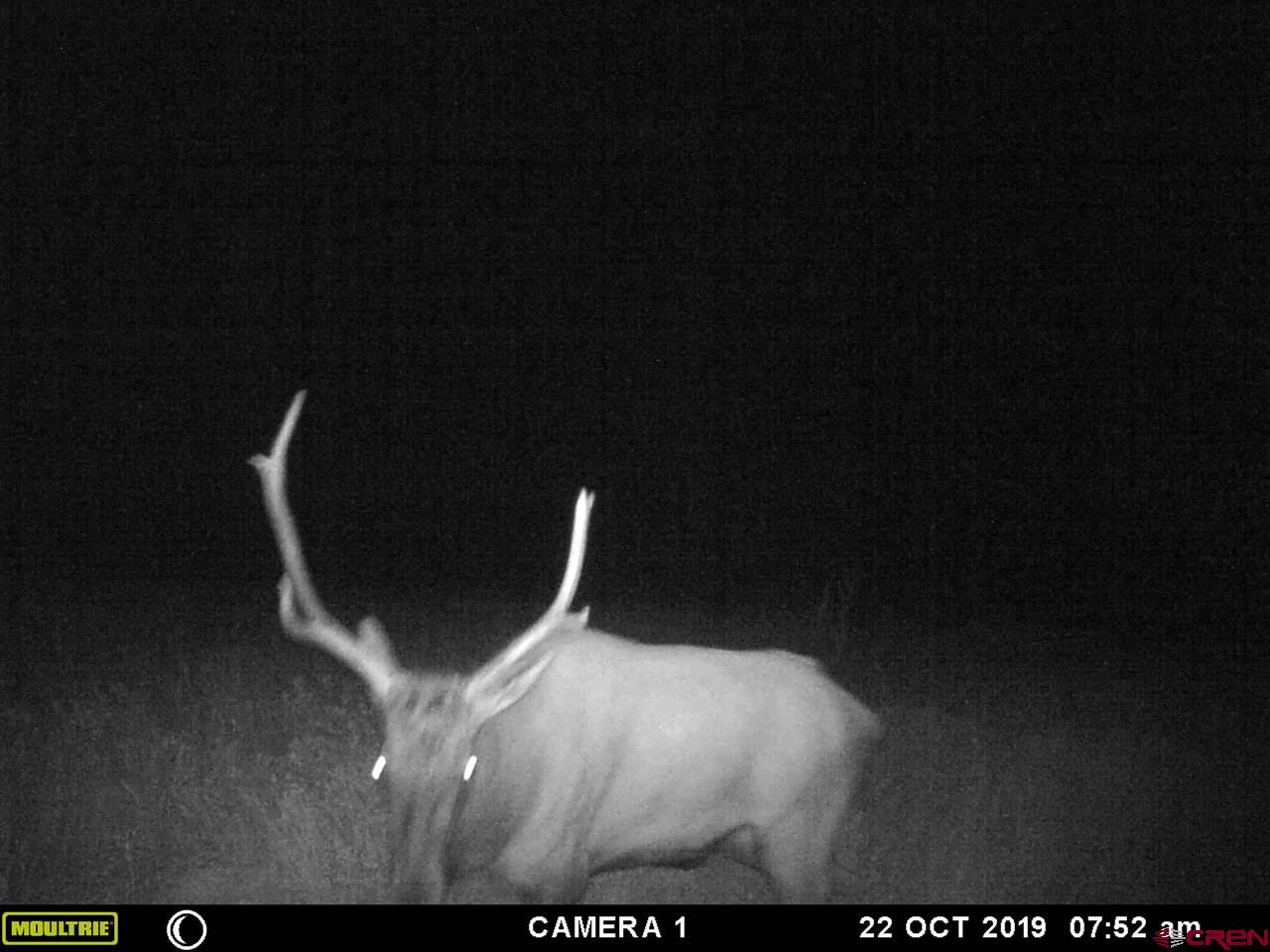 20000 R23 Road Nucla, CO 81424 - Photo 23 of 24 Gallery Image 23