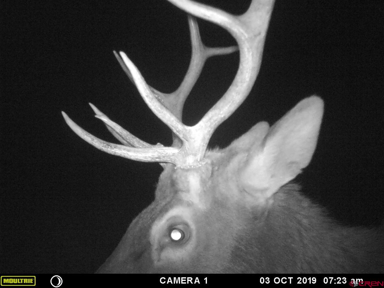 20000 R23 Road Nucla, CO 81424 - Photo 24 of 24 Gallery Image 24