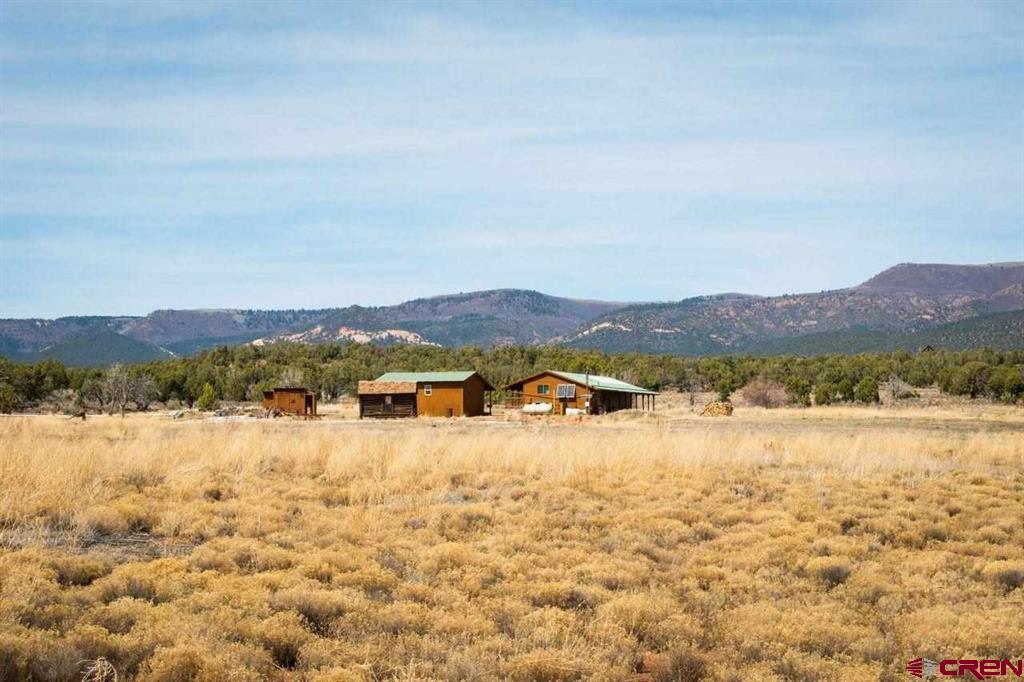 20000 R23 Road Nucla, CO 81424 - Photo 5 of 24 Gallery Image 5