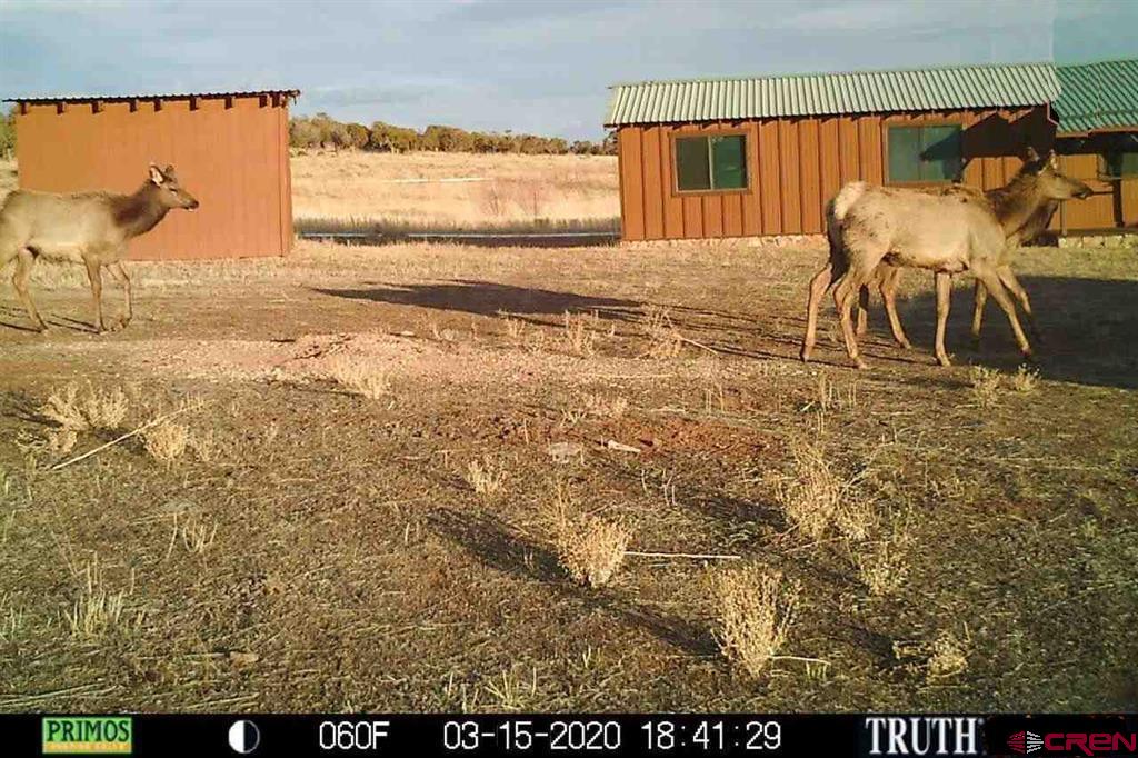 20000 R23 Road Nucla, CO 81424 - Photo 7 of 24 Gallery Image 7