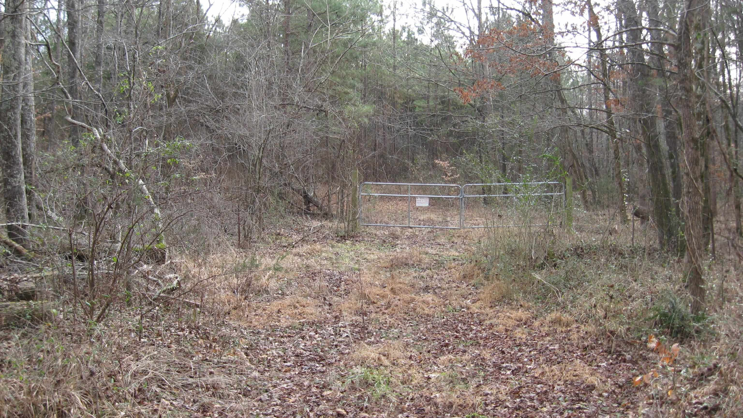 420 Anderson Road Saltillo, TN 38370 - Photo 11 of 22 Photo 11