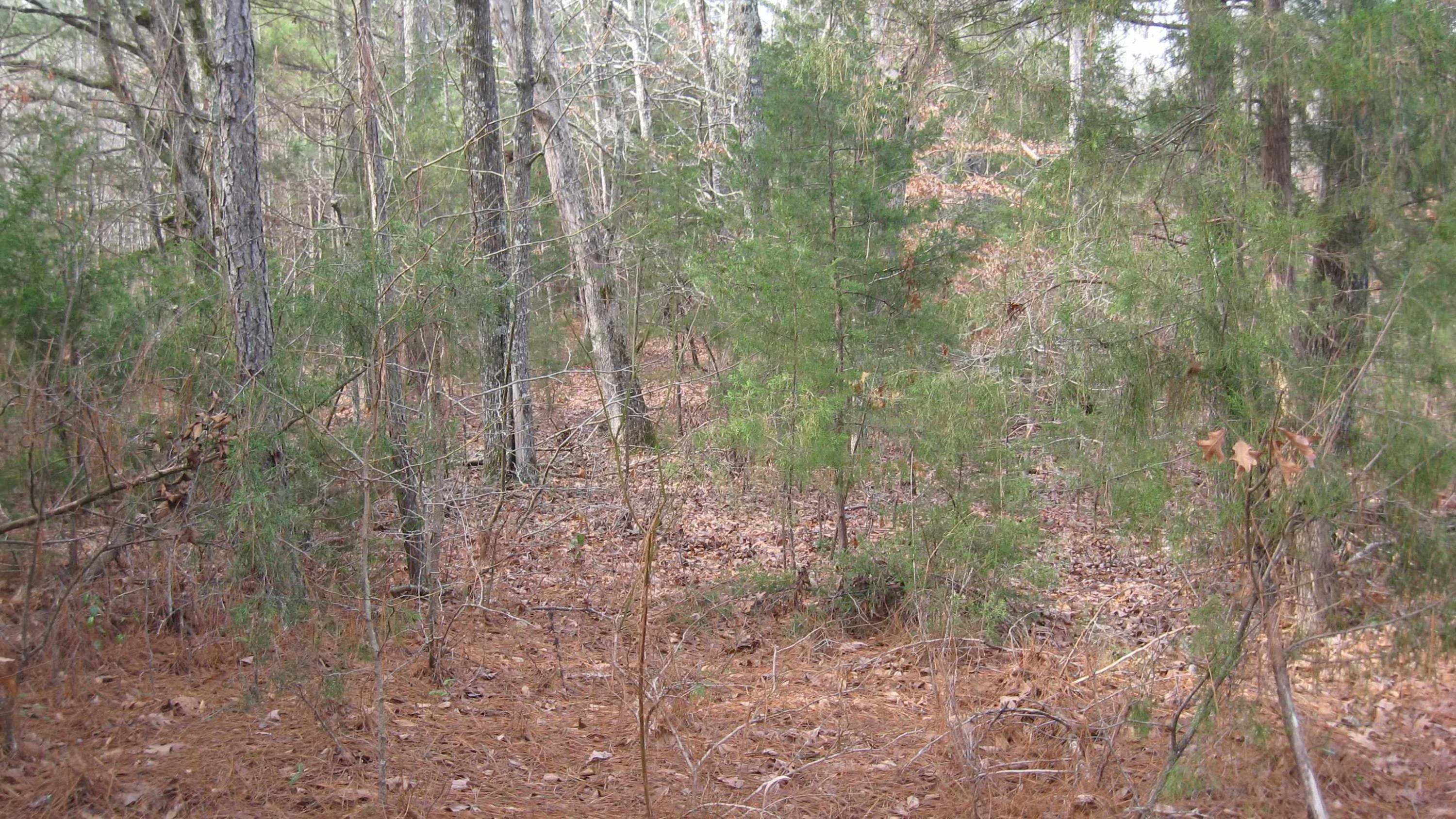 420 Anderson Road Saltillo, TN 38370 - Photo 14 of 22 Photo 14