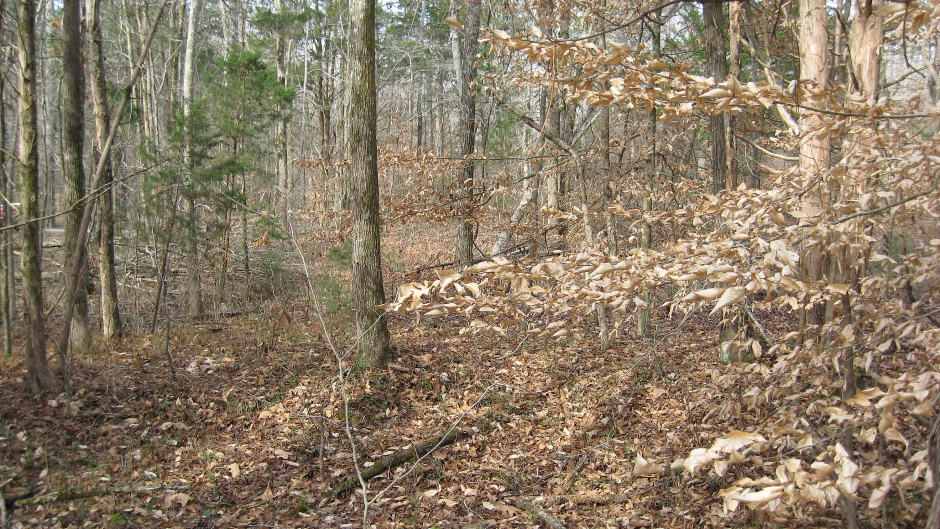 420 Anderson Road Saltillo, TN 38370 - Photo 15 of 22 Photo 15