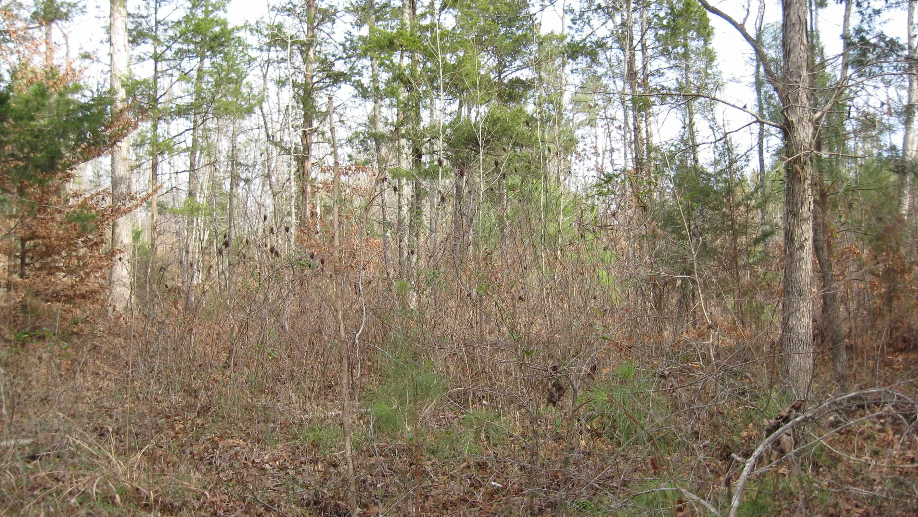 420 Anderson Road Saltillo, TN 38370 - Photo 16 of 22 Photo 16