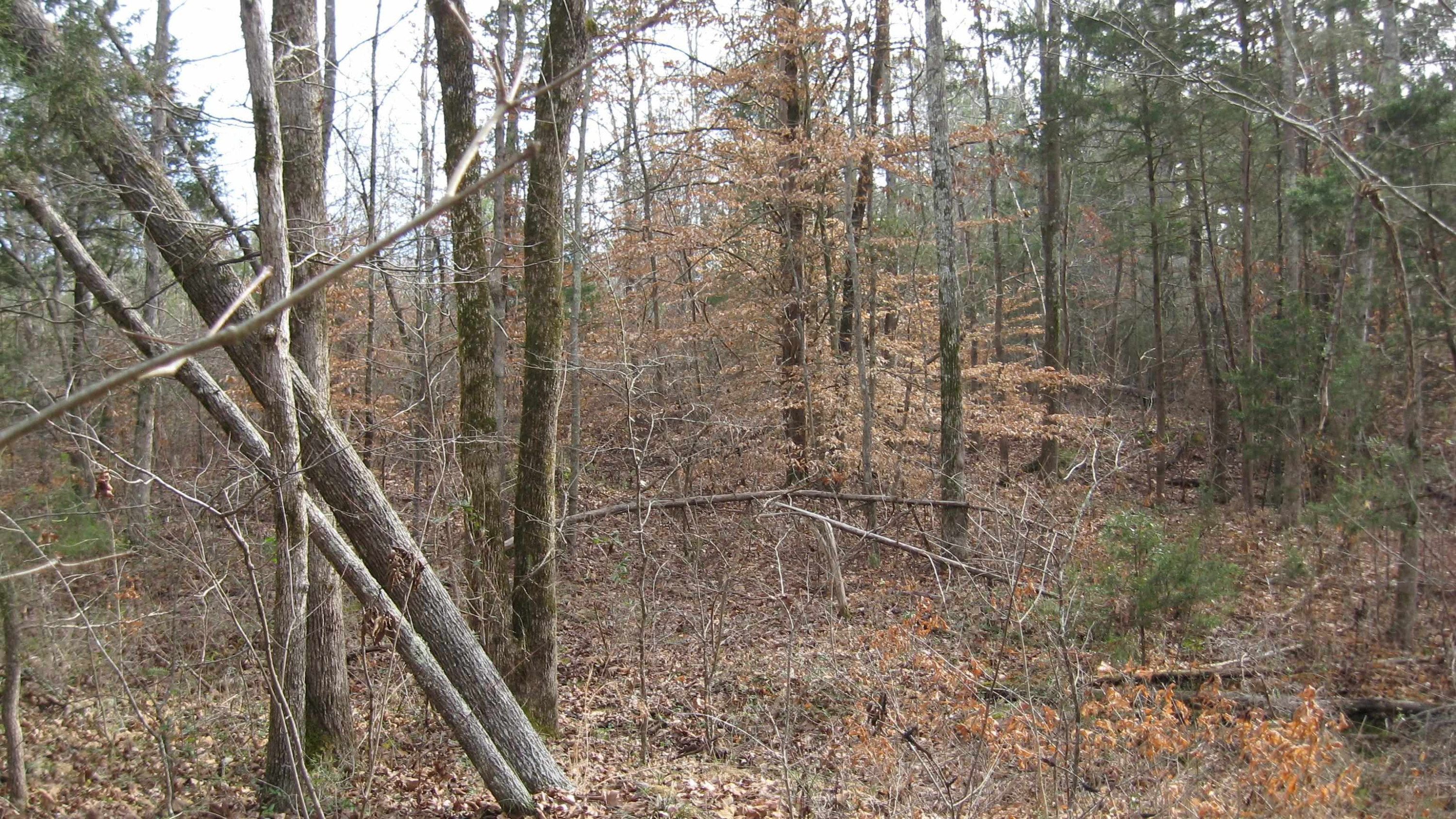 420 Anderson Road Saltillo, TN 38370 - Photo 17 of 22 Photo 17