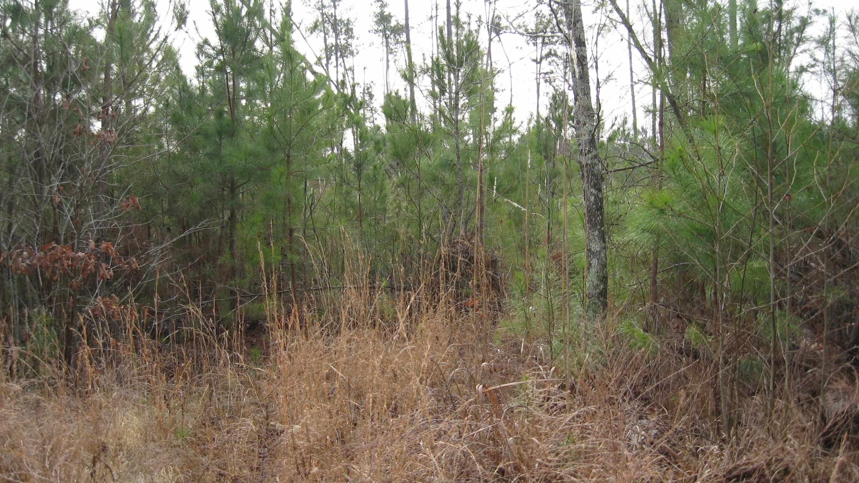 420 Anderson Road Saltillo, TN 38370 - Photo 20 of 22 Photo 20