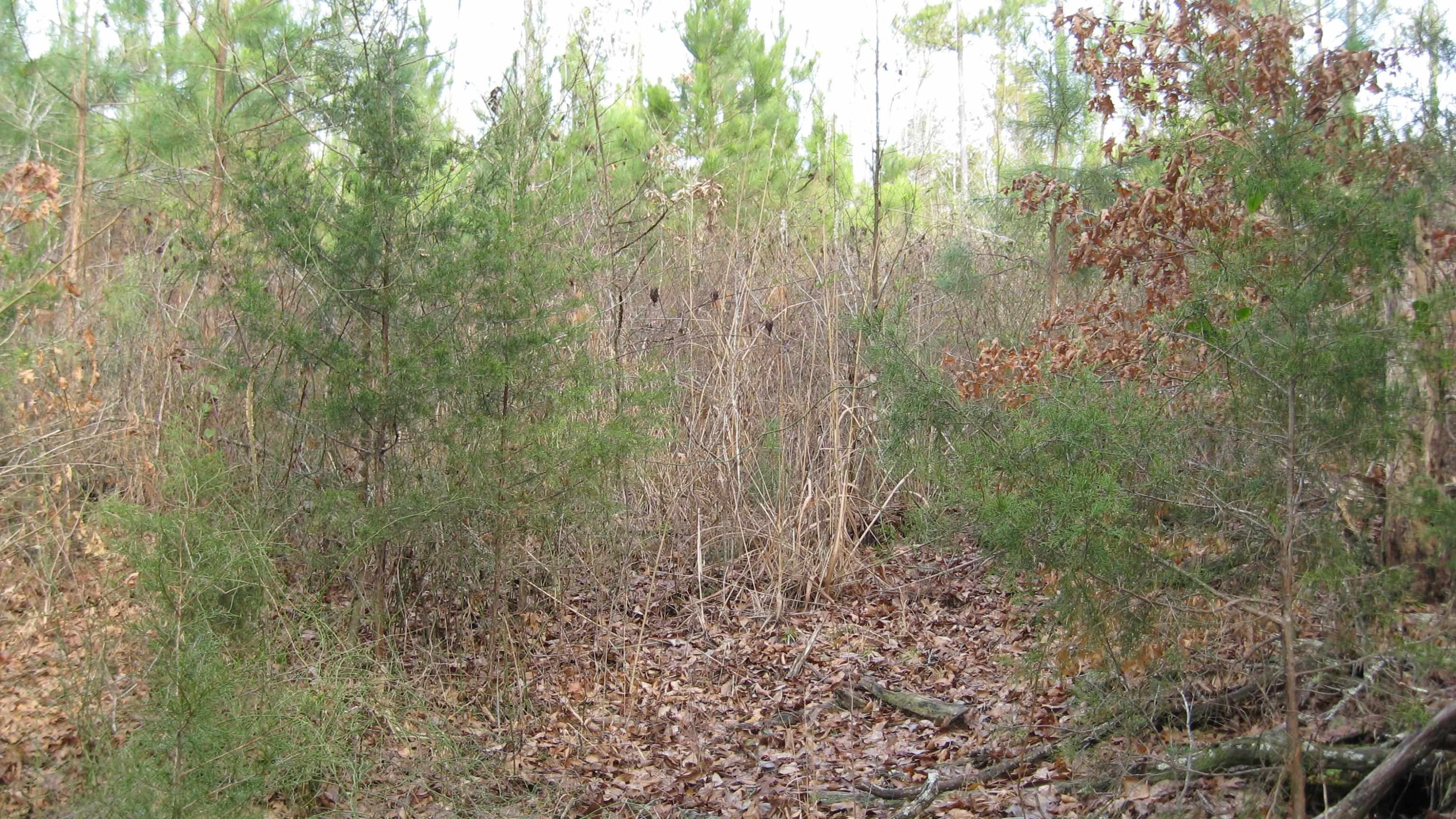 420 Anderson Road Saltillo, TN 38370 - Photo 22 of 22 Photo 22