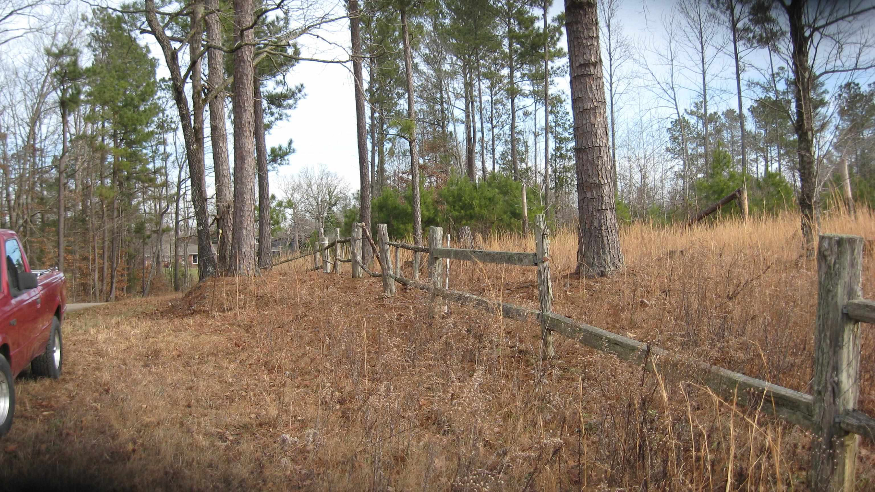 420 Anderson Road Saltillo, TN 38370 - Photo 4 of 22 Photo 4