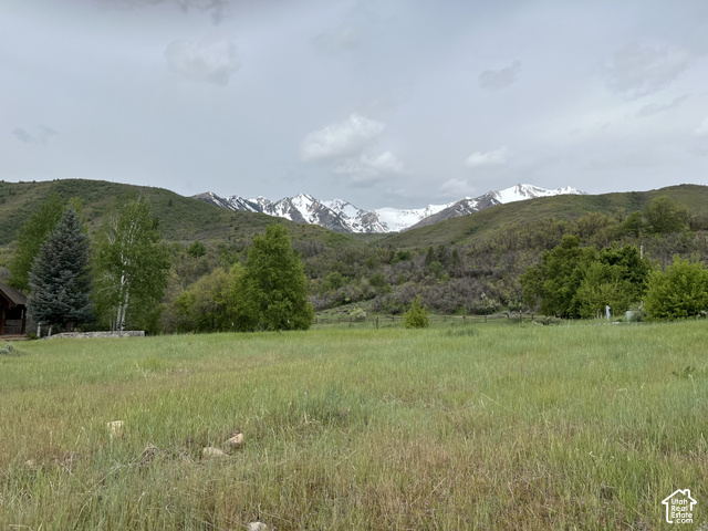 Meadow Drive, Unit 2 Springville, UT 84663 - Photo 7 of 11 North-facing view towards Provo Peak in Spring