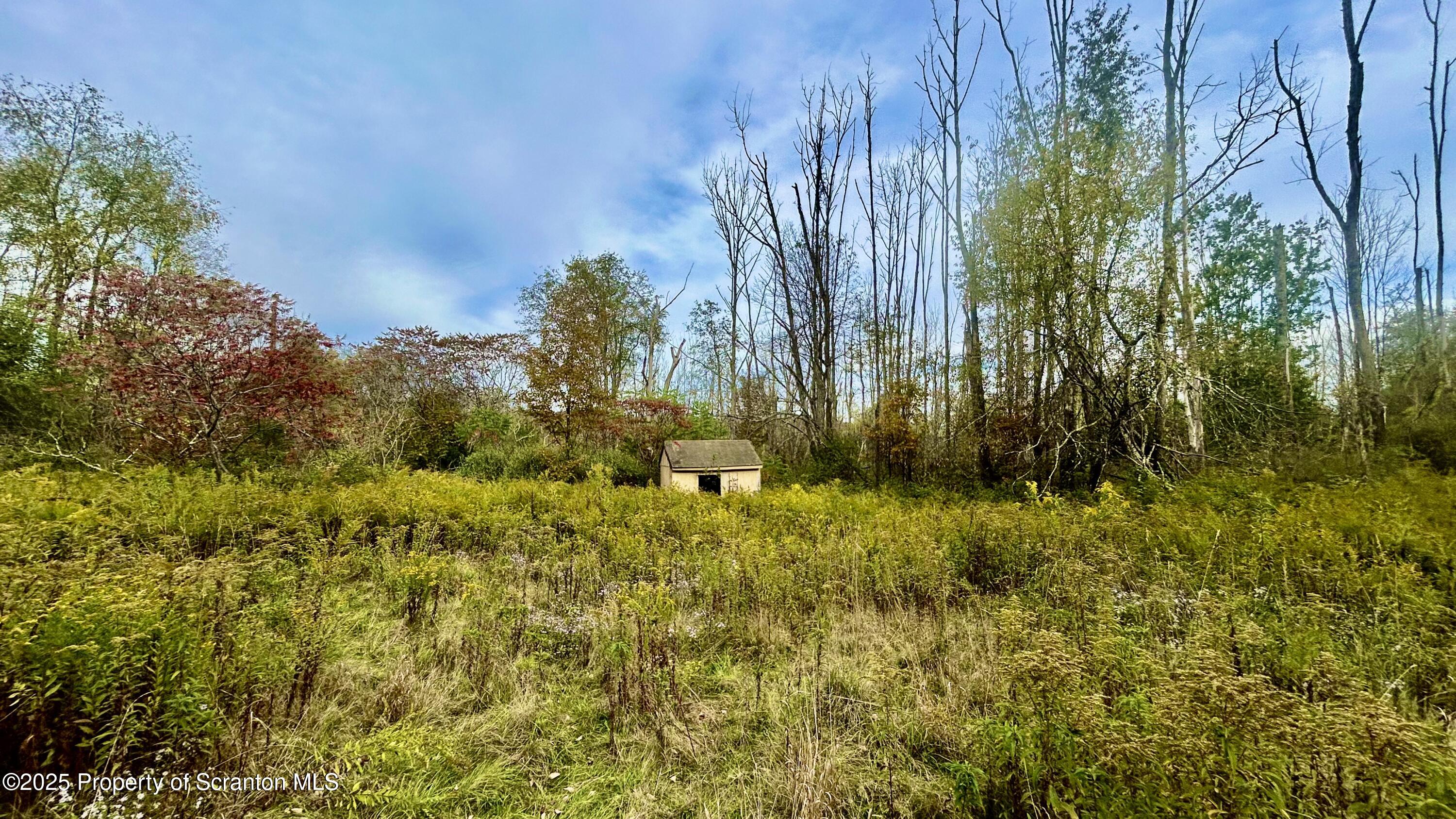 956 Russell Road Kingsley, PA 18826 - Photo 2 of 9 IMG_3883